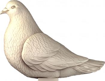 Dove (GL_0014) 3D model for CNC machine