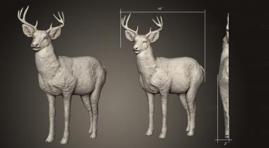 Animals (JV_0155) 3D model for CNC machine