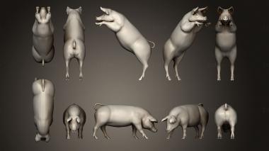 Animals (JV_0170) 3D model for CNC machine