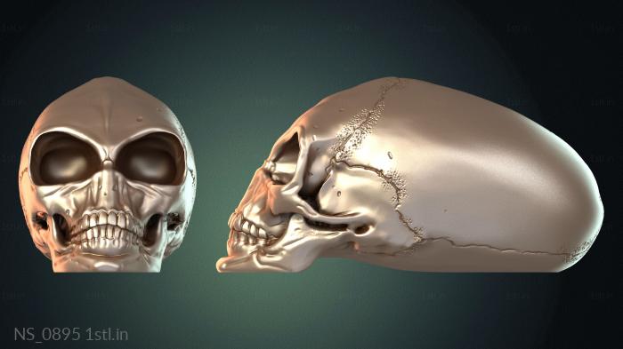 अलग (NS_0895) सीएनसी मशीन के लिए 3D मॉडल