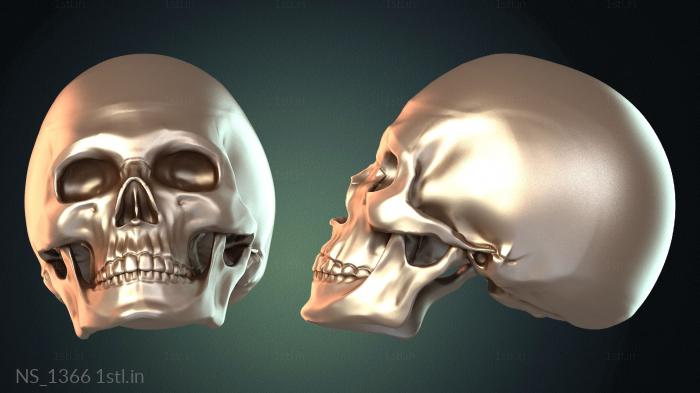 Different (NS_1366) 3D model for CNC machine