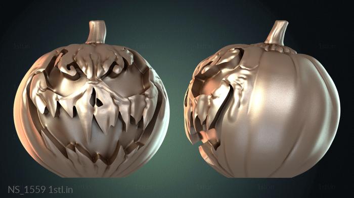 अलग (NS_1559) सीएनसी मशीन के लिए 3D मॉडल