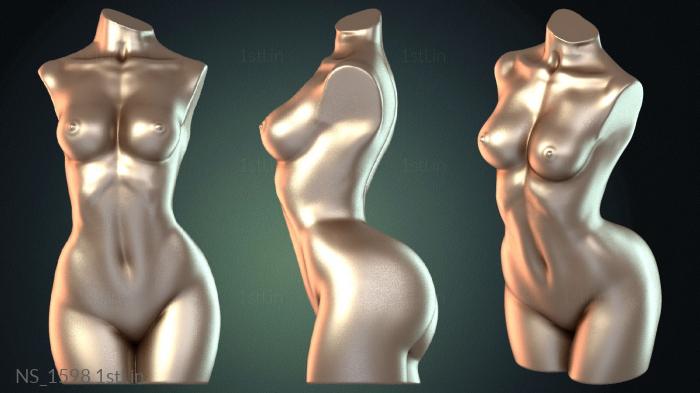 Different (NS_1598) 3D model for CNC machine