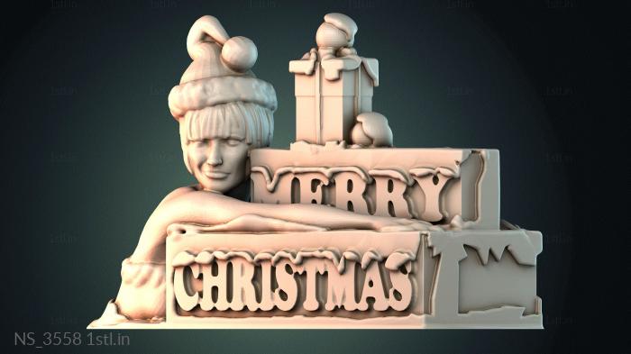 Different (NS_3558) 3D model for CNC machine