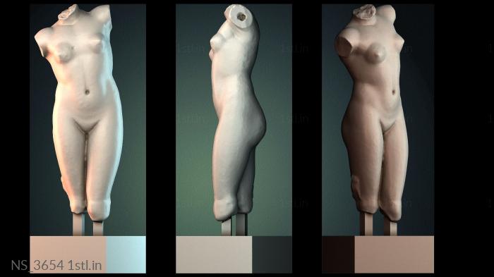 Different (NS_3654) 3D model for CNC machine