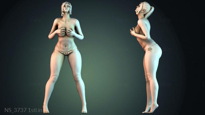 Different (NS_3737) 3D model for CNC machine