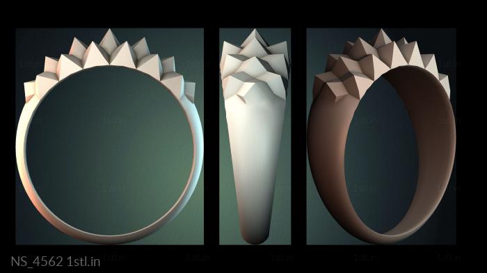 अलग (NS_4562) सीएनसी मशीन के लिए 3D मॉडल